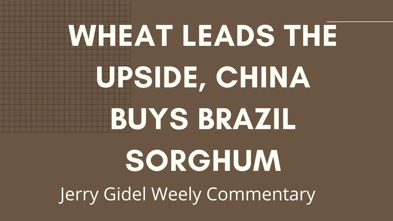 Uncertainty on the Commodity Markets After Tariffs Dropped by US Supreme Court