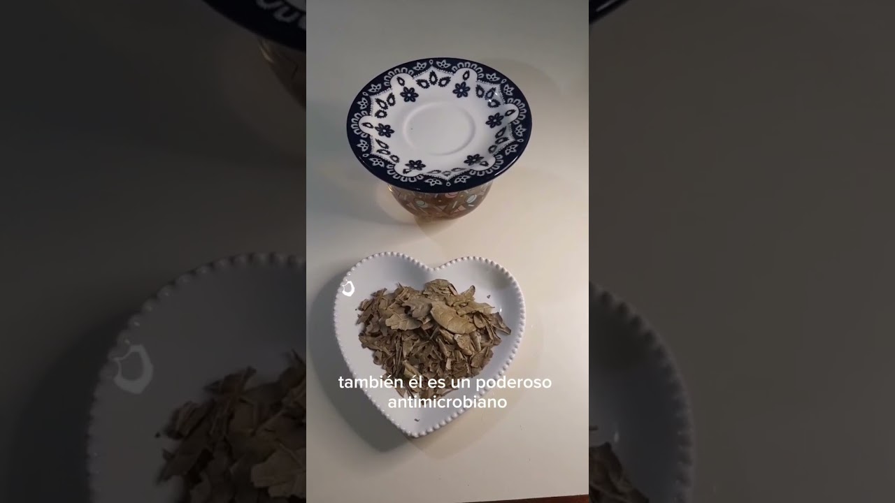 Boldo, hepatoprotector y Digestivo. #digestivo #hepatoprotector #higadograso #carminativo