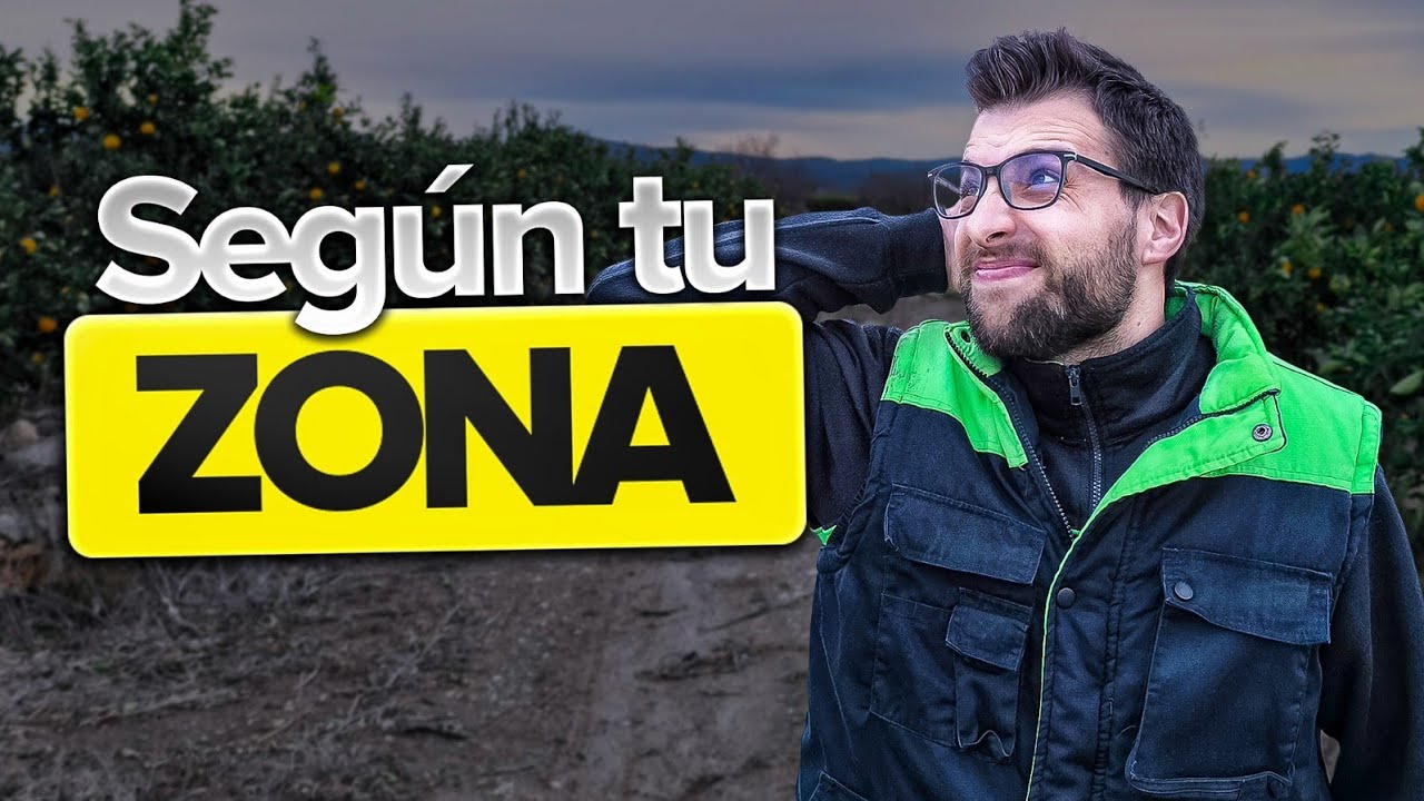 No plantes CÍTRICOS sin entender este CALENDARIO 🍊🗓️🍋