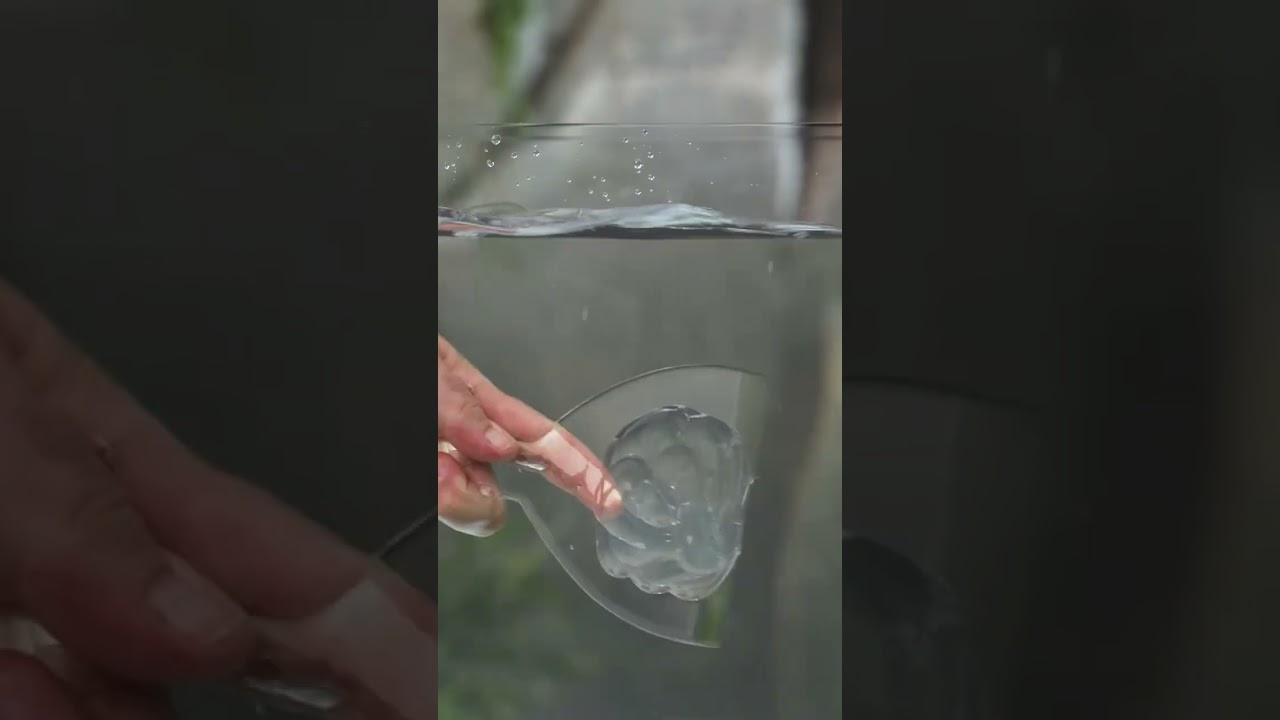 What can Flex Paste Clear do??