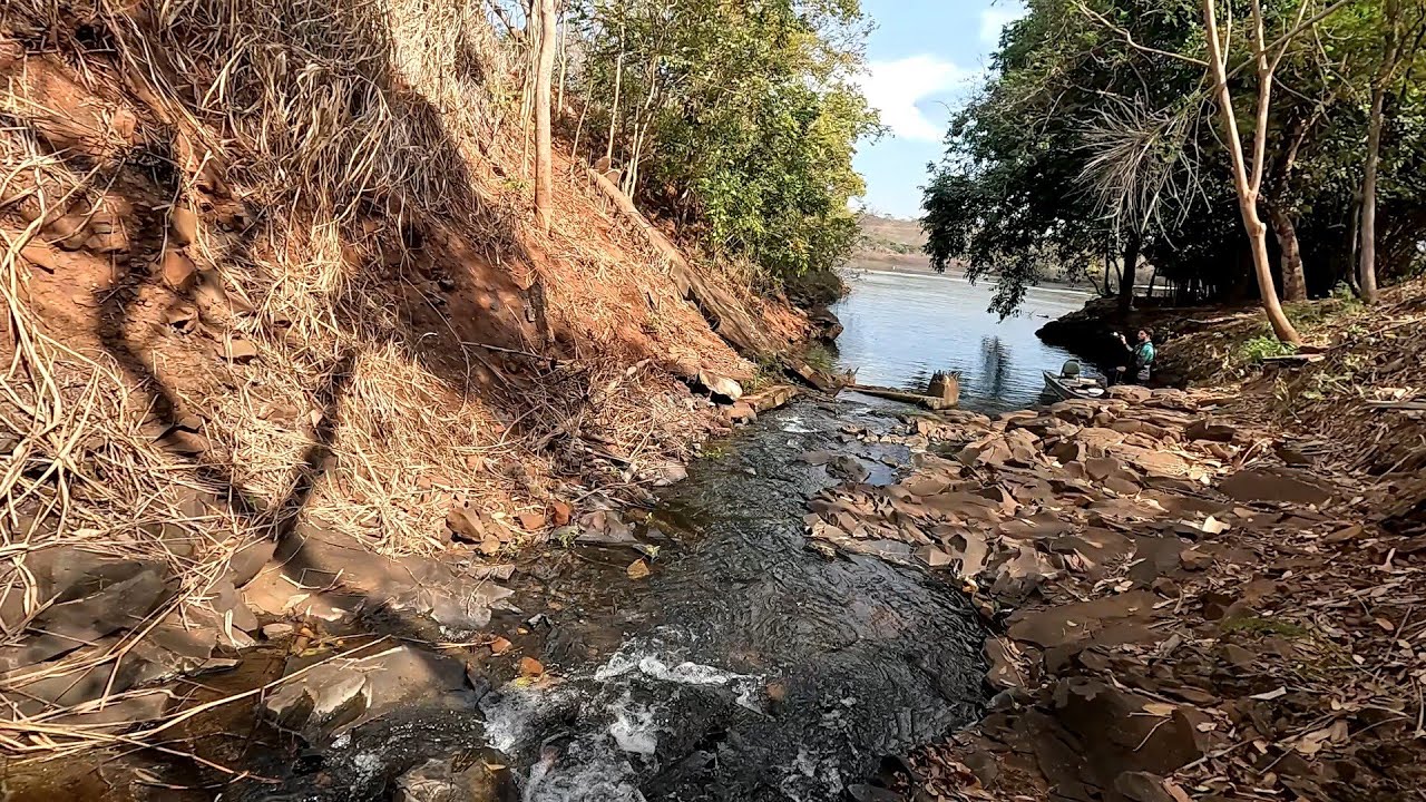 Isso é impressionante, nesse lugar só tem gigantes Pescamos e fritamos Rio grande