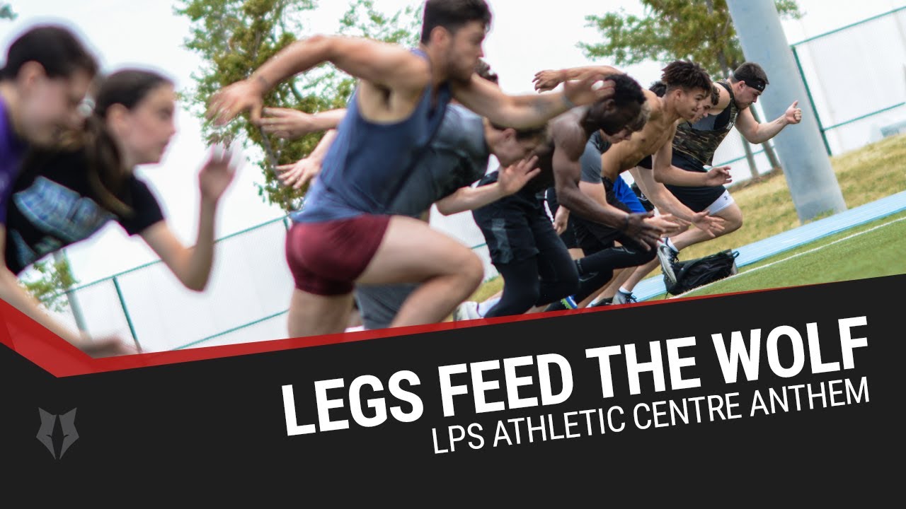 Strength & Conditioning Gym in North York for Athletes & Executives | LPS Athletic Centre