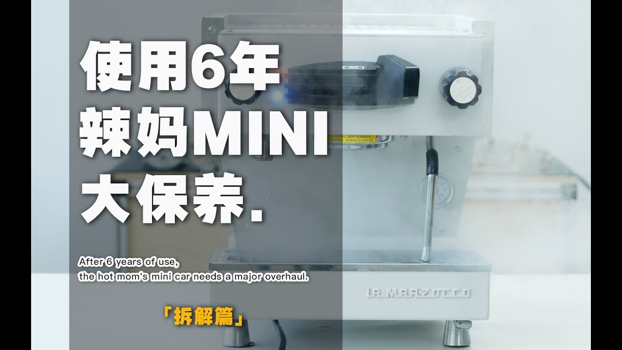 Major service for a 6-year-old Lamarzocco Mini