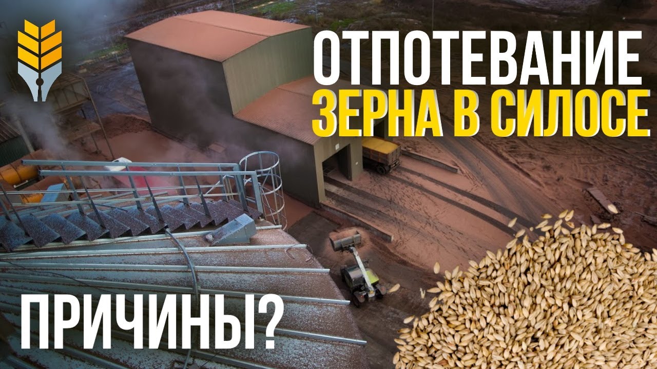 Отпотевание зерна в силосах — как побороть? | Клуб элеватористов