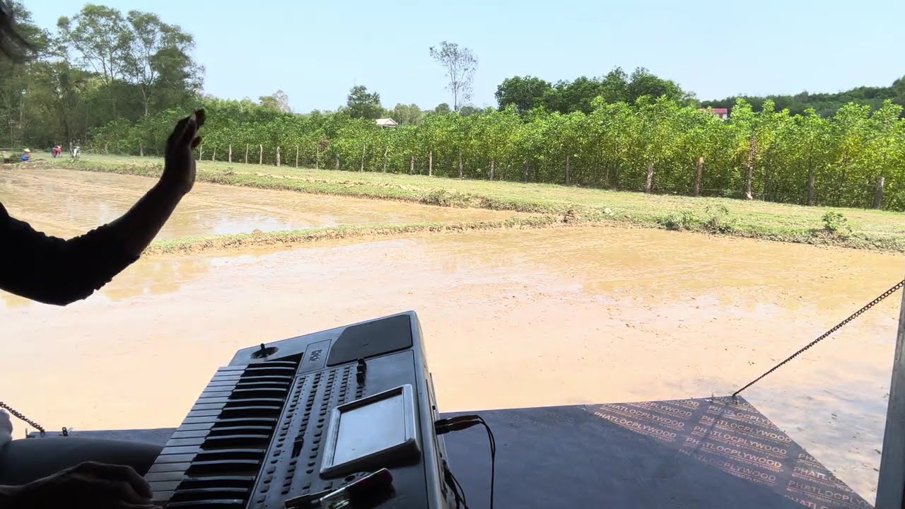 chachacha ngẫu hứng dân ca