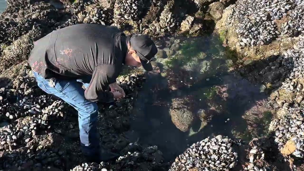 Nos fuimos de pesca 🎣 