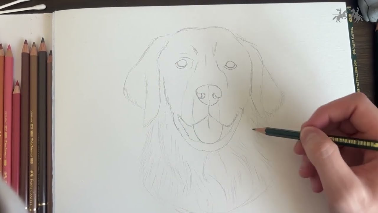 Dog Portraiture with Polychromos by artist Nathan McCarron