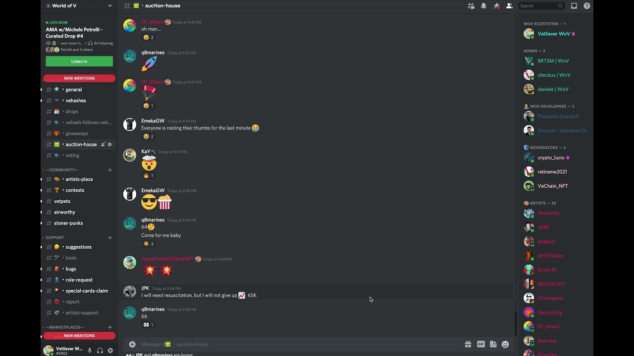 Michele Petrelli Curated Drop - Record Auction 70k VET