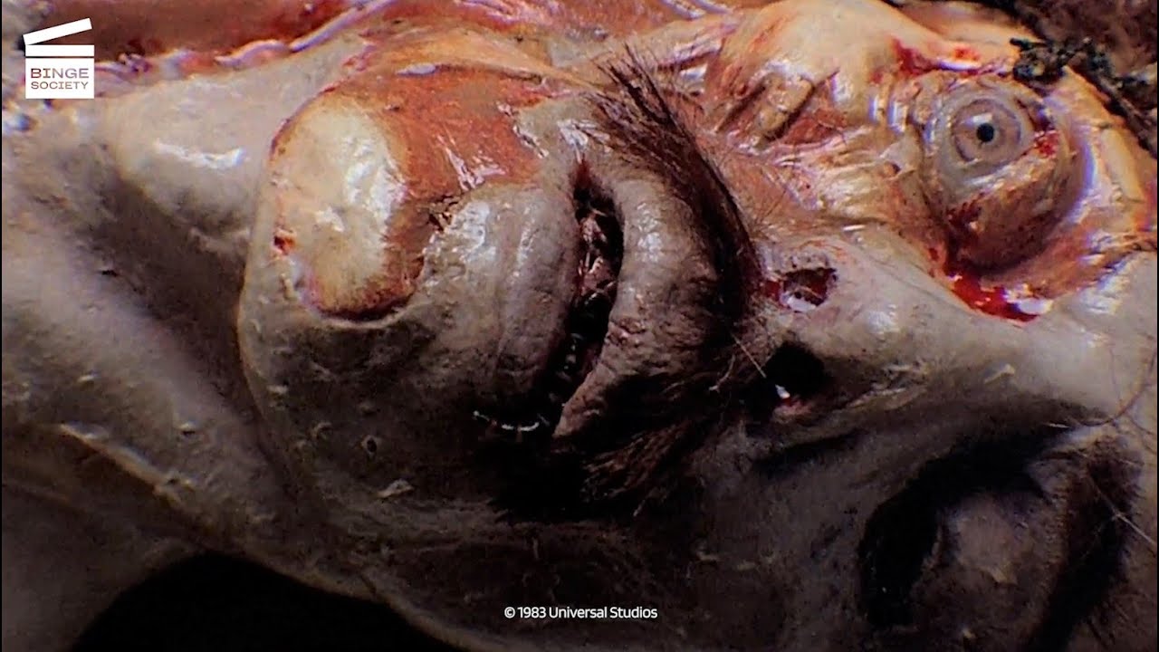 Jaws 3-D: A dead body in the park's water HD CLIP