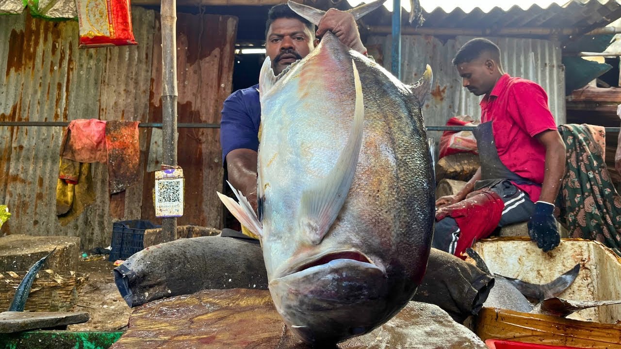 KASIMEDU SPEED SELVAM TREVALLY FISH 🐟 CUTTING VIDEO \ CUTTING FOCUS 