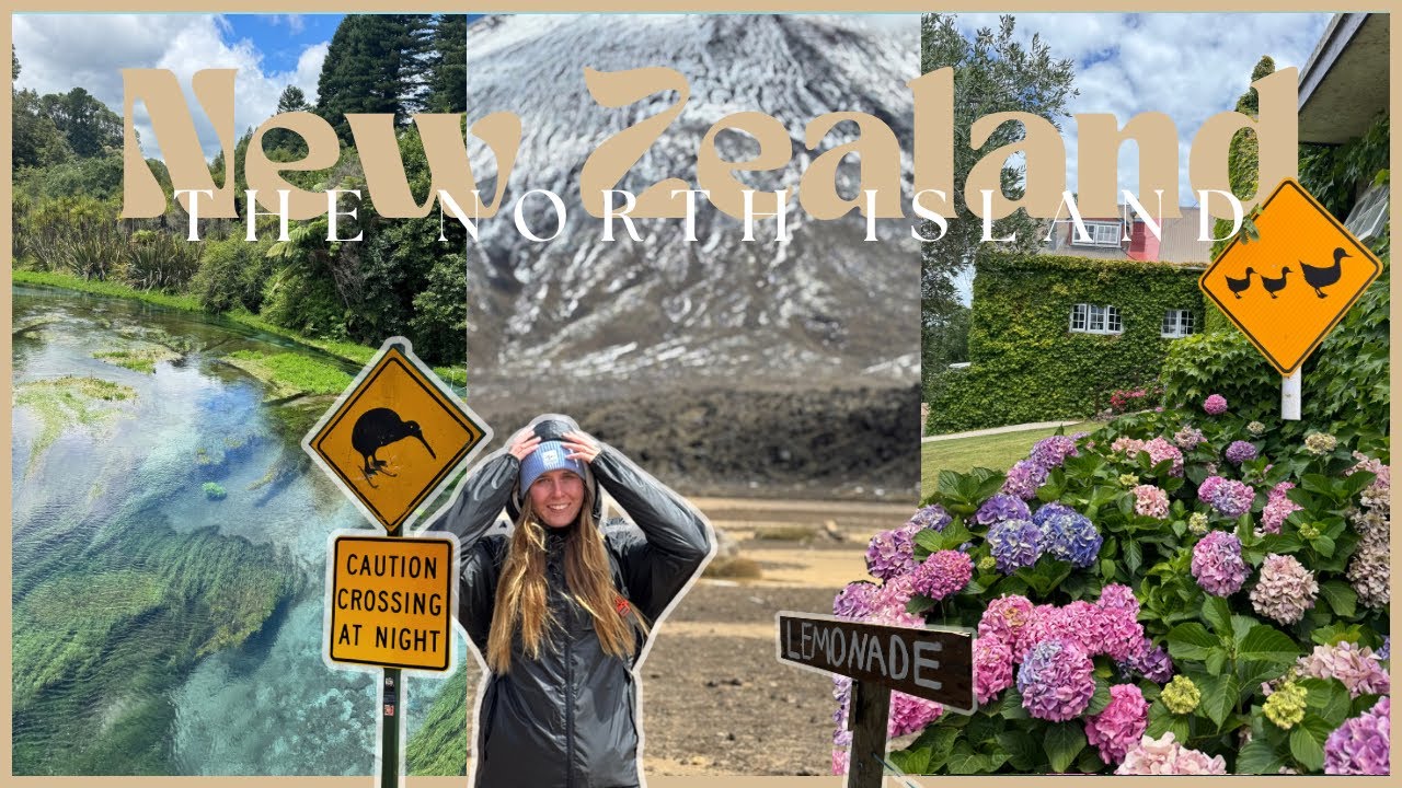 Neuseeland Nordinsel Vlog 🇳🇿 | Von Auckland nach Wellington & Tongariro Alpine Crossing 🌿