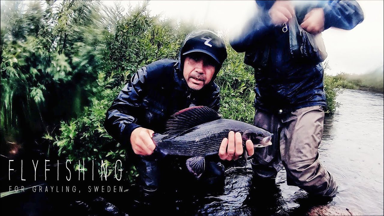 Flyfishing for Grayling, Sweden