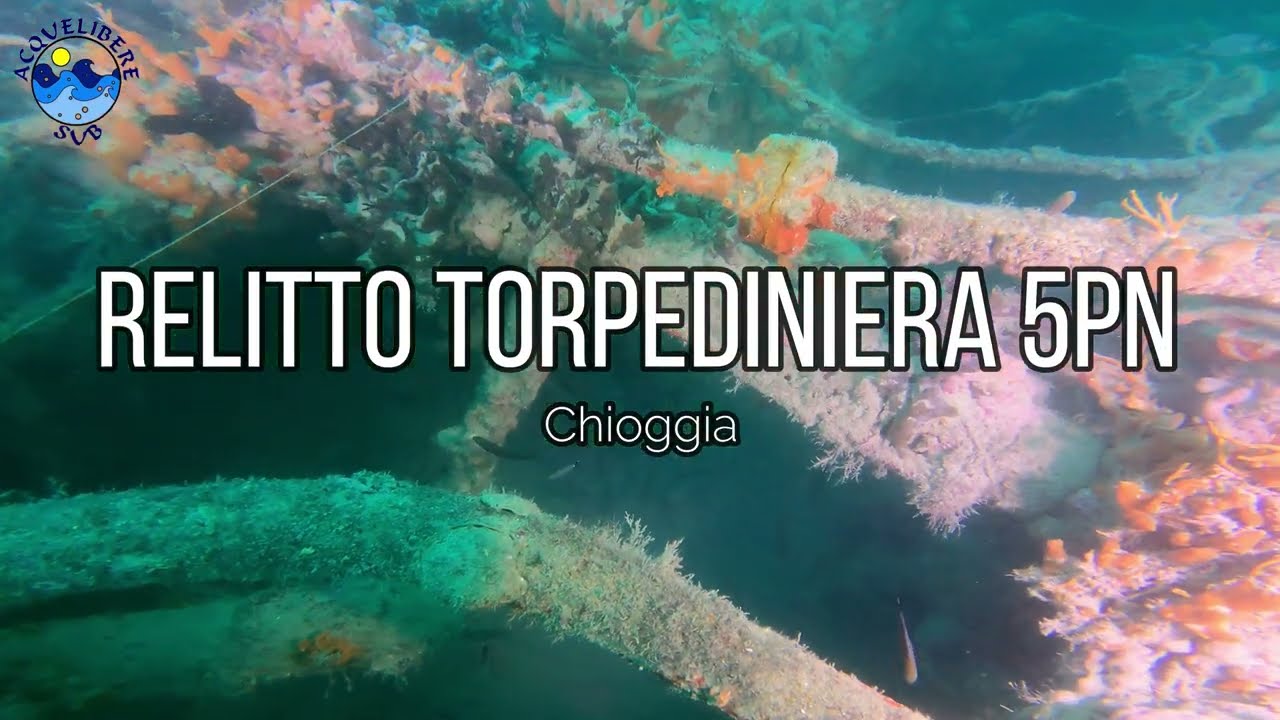 Il Relitto della Torpediniera 5PN - Immersioni sui Relitti dell'Alto Adriatico