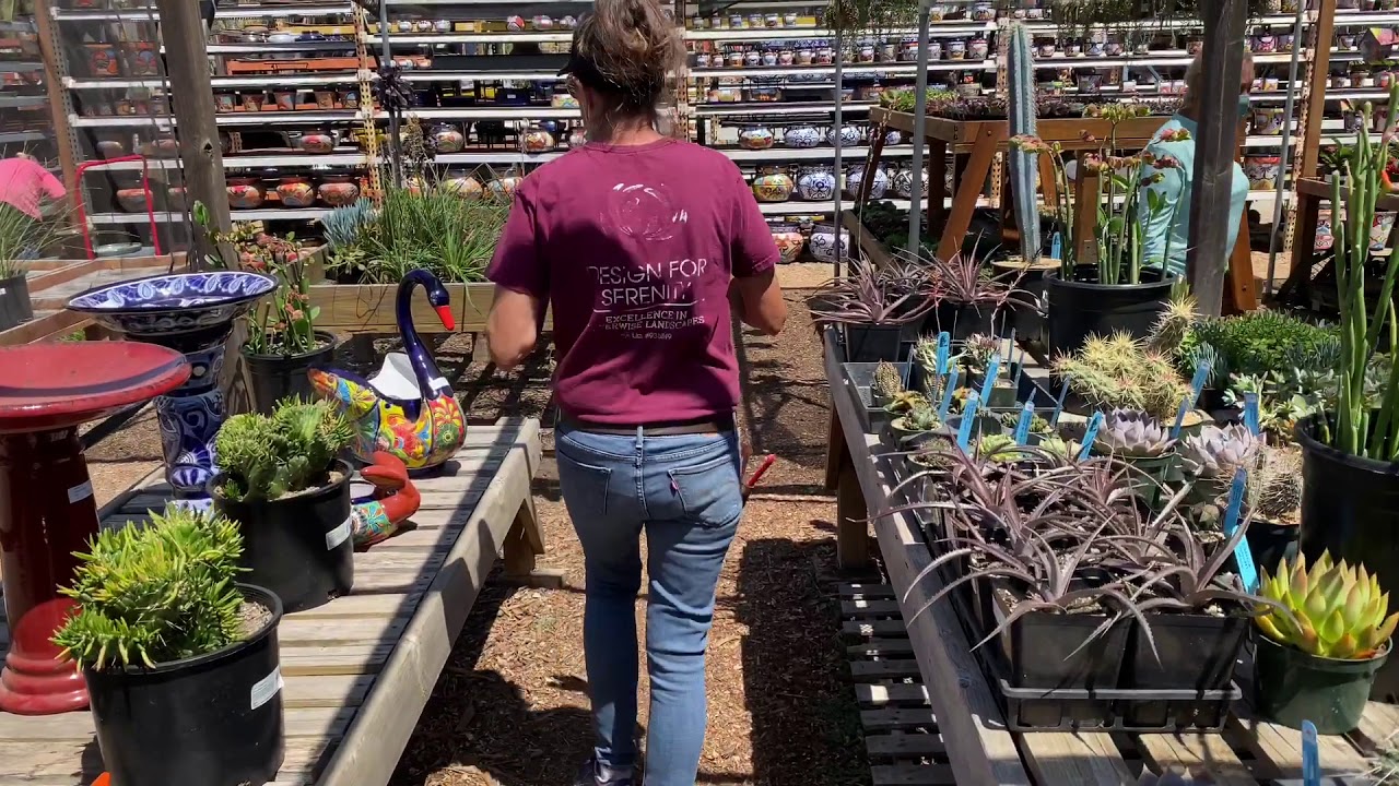 Planters Paradise in El Cajon My Go To For Pots