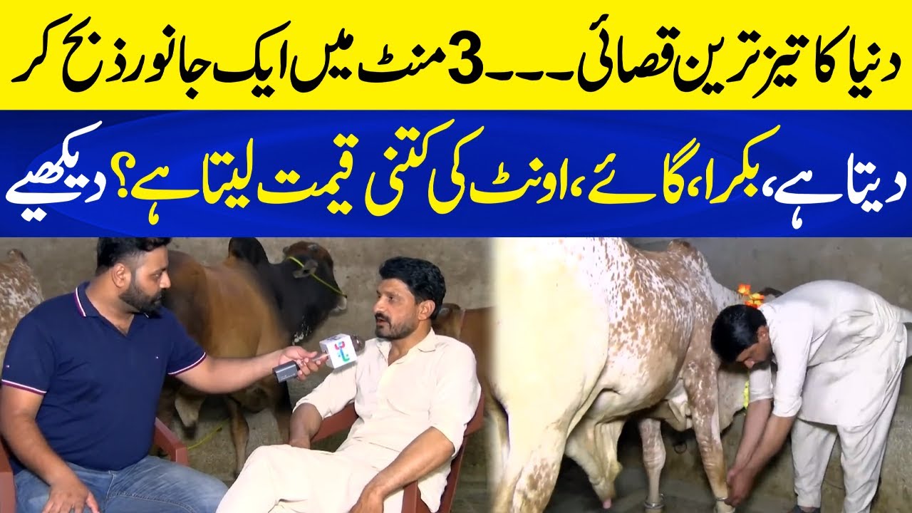 Dunya ka Fastest Qasai | 3 Minutes mein Janwar Ziba kar Deta hai | Kaka Reporter | Neo Plus