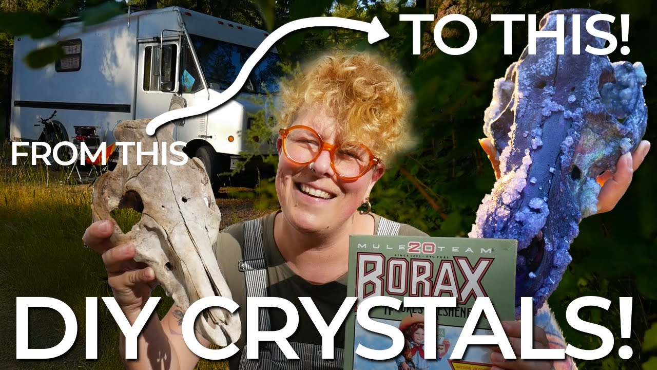 Vanlife Forest to Art - DIY Crystals with Borax Bones