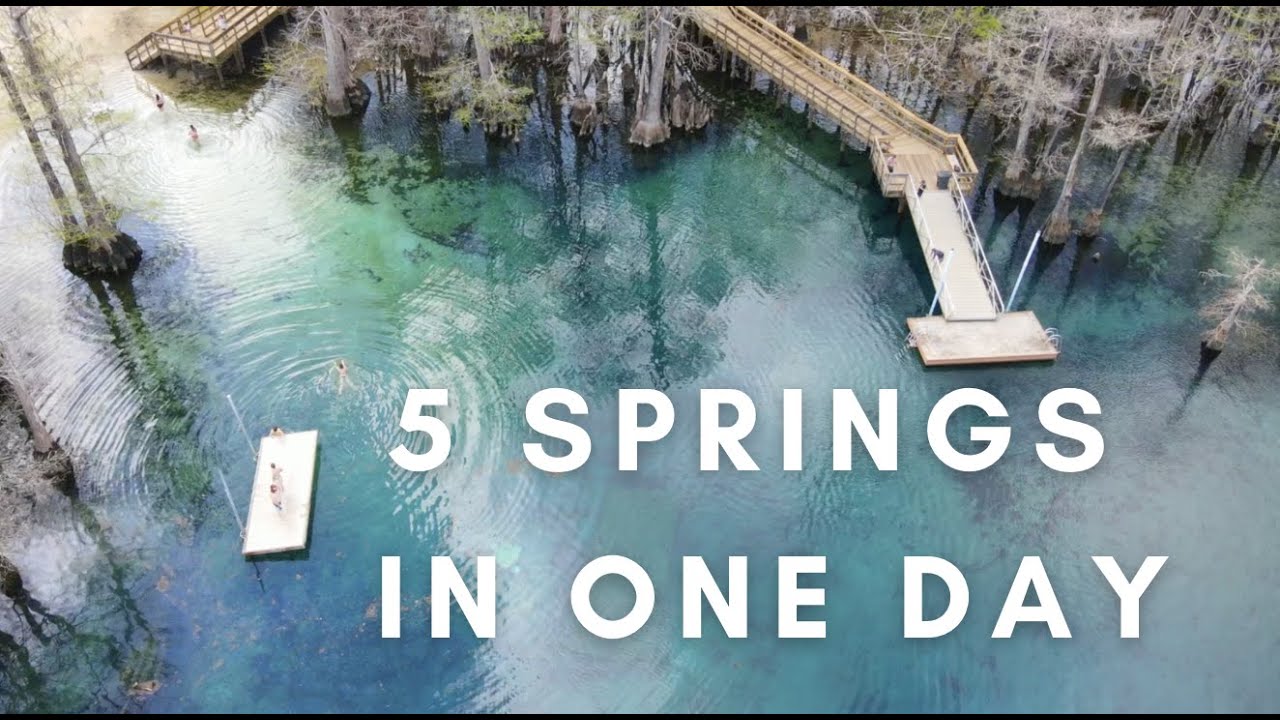 Visiting 5 NW Florida Springs in One Day