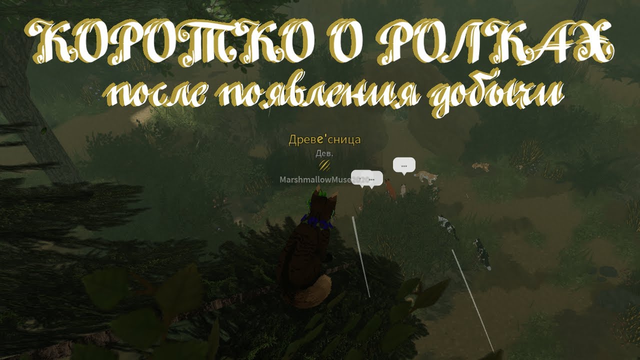 Коротко о ролках после появления добычи