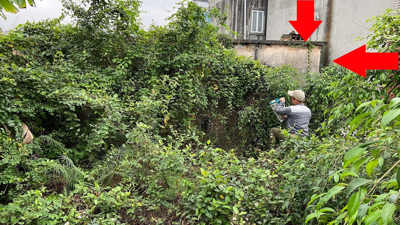 Terrified when cleaning an abandoned house for 30 years | Cut down trees to help a 70 year old man