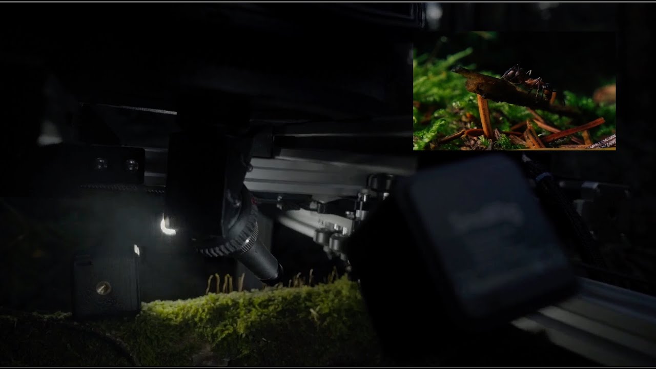 Behind the scenes filming a super-macro wildlife sequence with a FPV microscope