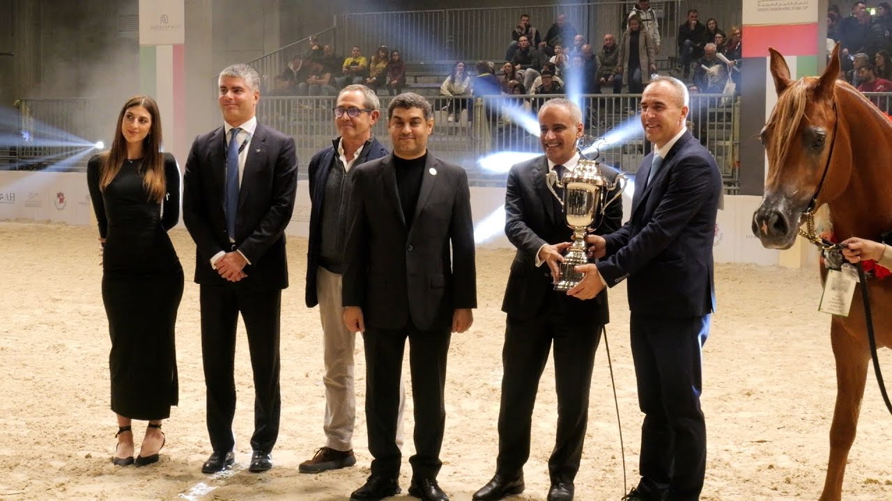 Cavallo Arabo re di un padiglione Fieracavalli unica tappa italiana EmiratesArabian Horse Global Cup