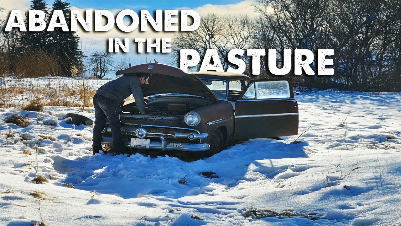 ABANDONED in the PASTURE. Can we get this Classic 54 Ford on the ROAD again? After 40 YEARS!