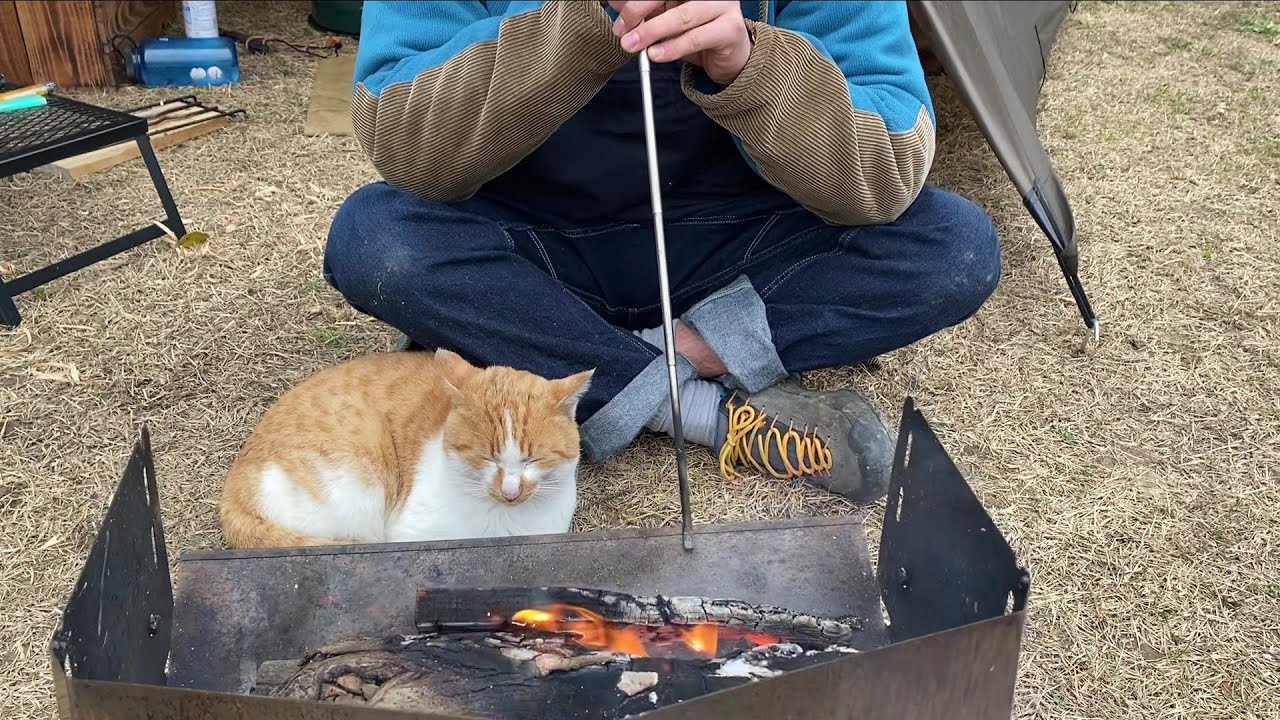 【ソロキャンプ】ふらりと現れた可愛い猫とぬくぬく焚き火キャンプ  Bonfire with a cat at the camp