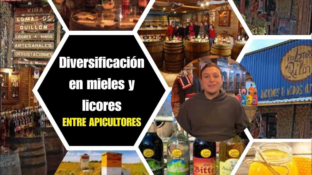 Aprender hacer hidromiel, licores y destilados para valor agregado con Miel y otros productos