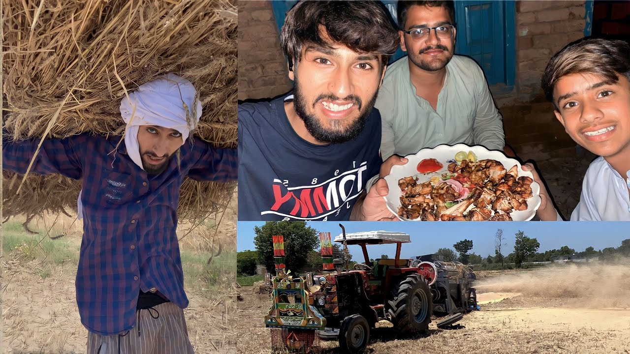 Zindgi Ma Pehli Bar Ya Kam kiya 😶 | Gandum ki Katai