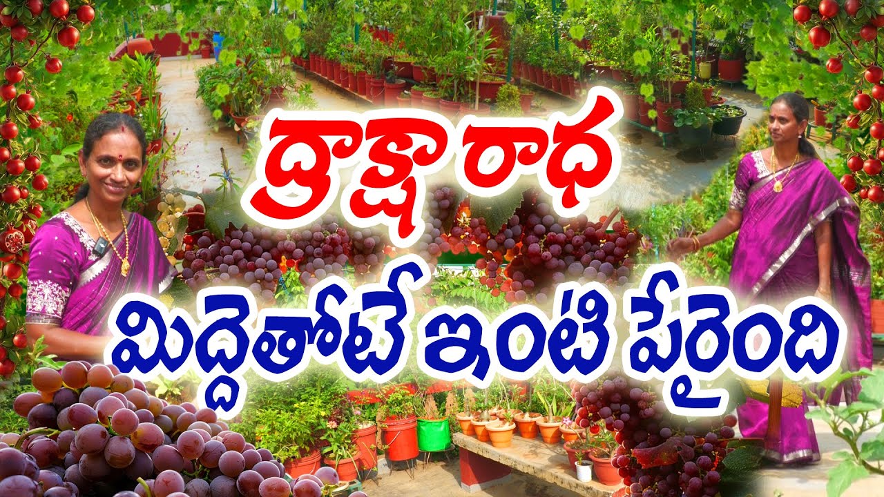 #ఇంటిపంటనే ఇంటిపేరుగా మార్చుకున్న 