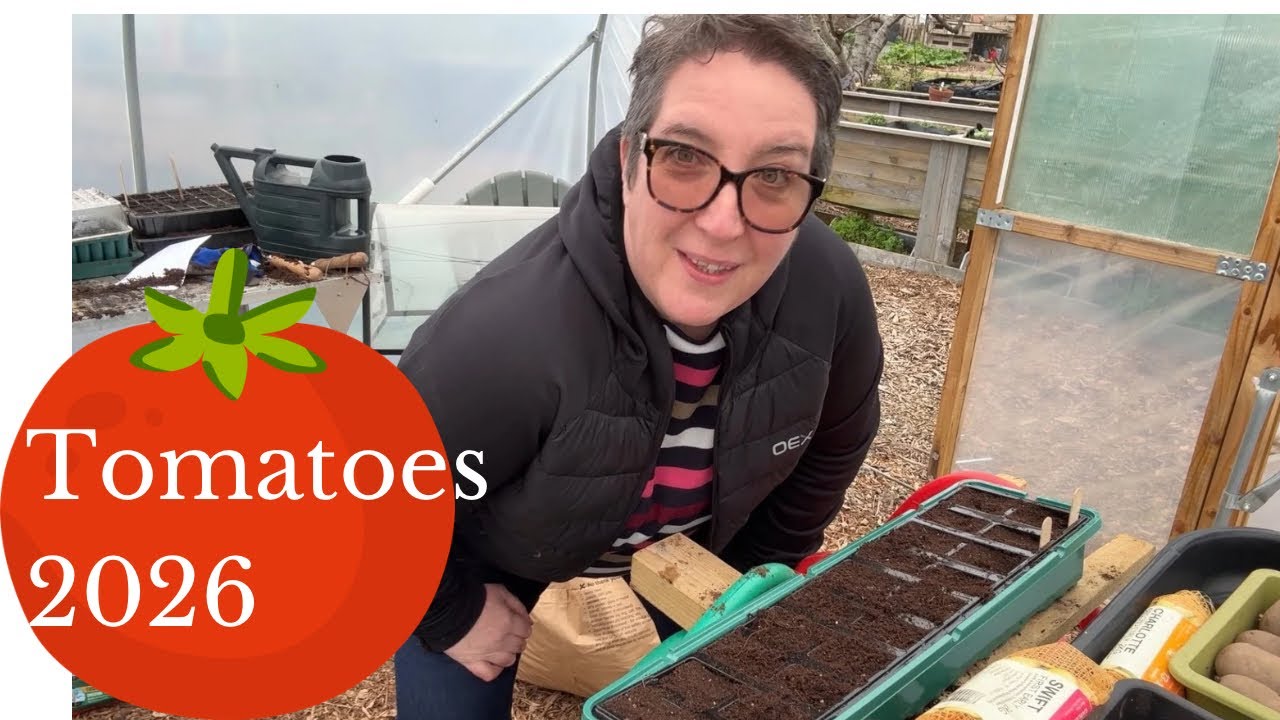 Tomatoes for 2026 | Which varieties of tomatoes I’m growing this year  and seedling problems