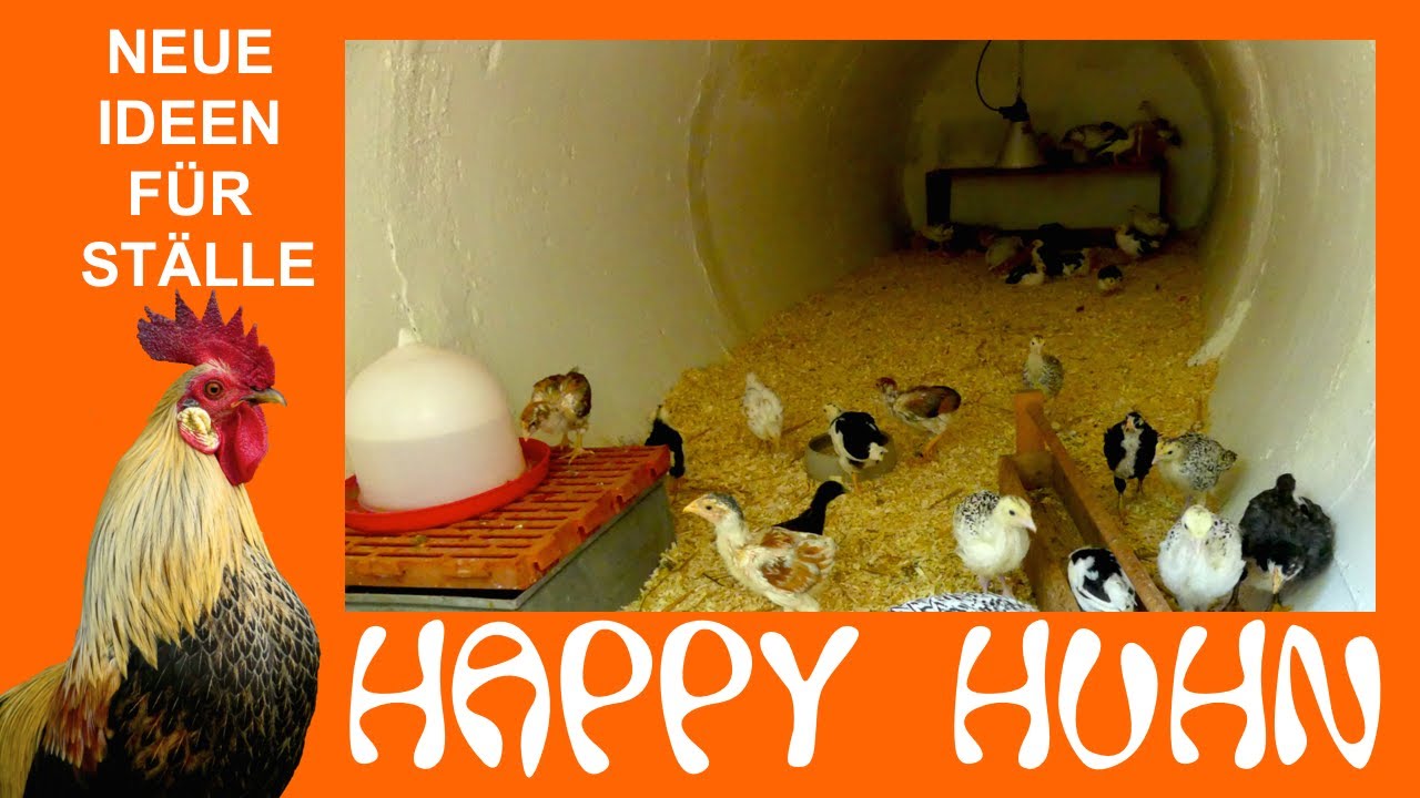 E 103 Neue Ideen für Hühnerställe bei HAPPY HUHN - vom Erdstall bis zur Zuchtanlage für Seramas