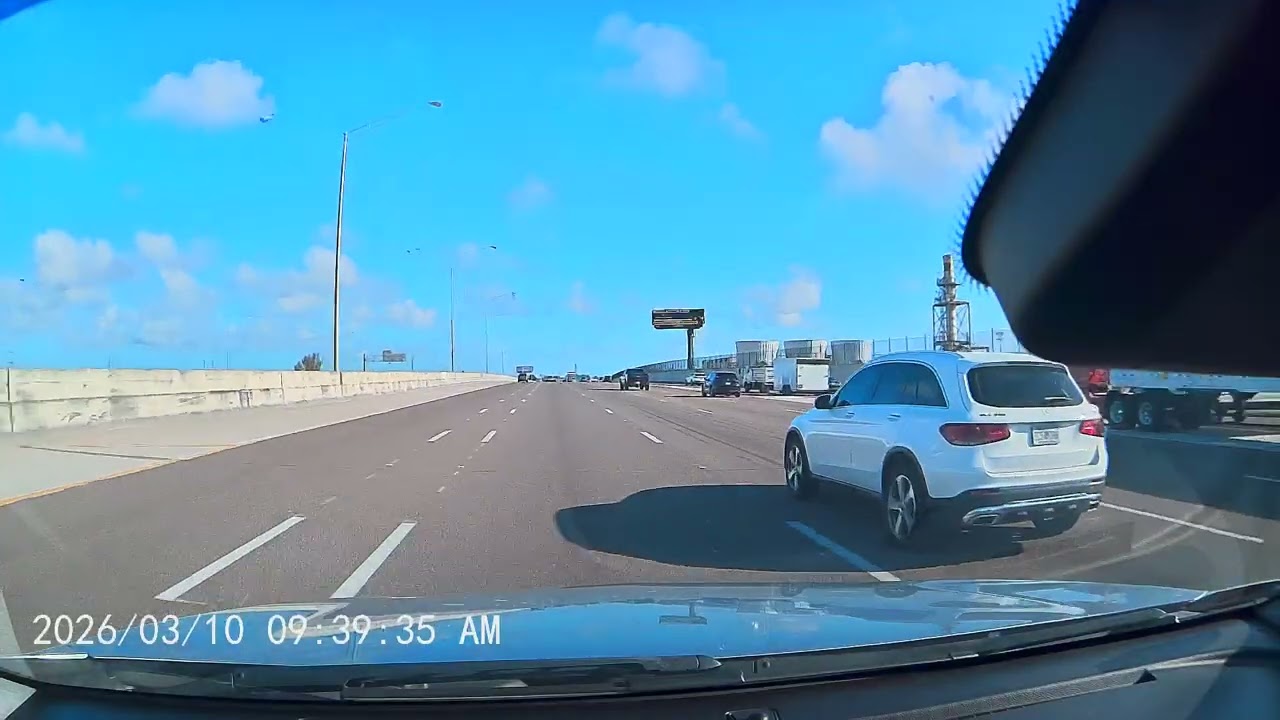 Only in Florida: The Most Unreal Highway Moment Ever Recorded