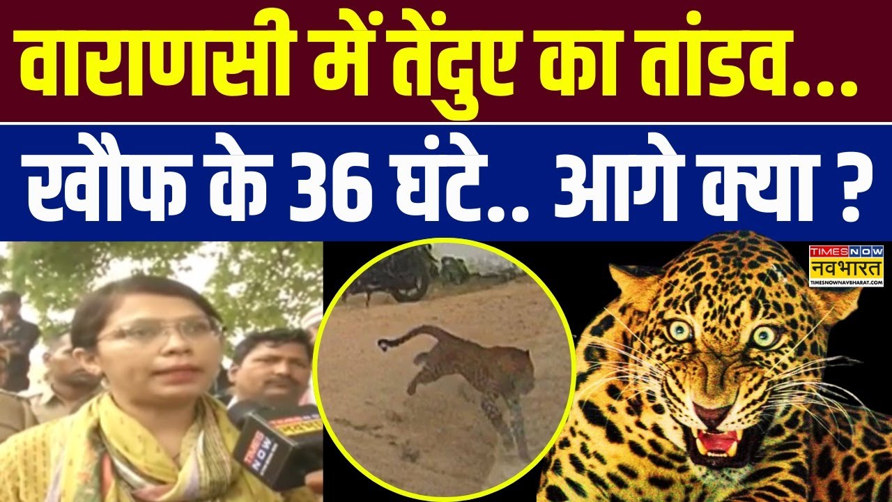 Varanasi Leopard Attack: Varanasi में एक पैंथर की 'हॉरर' स्टोरी ! | UP News | Latest Hindi News