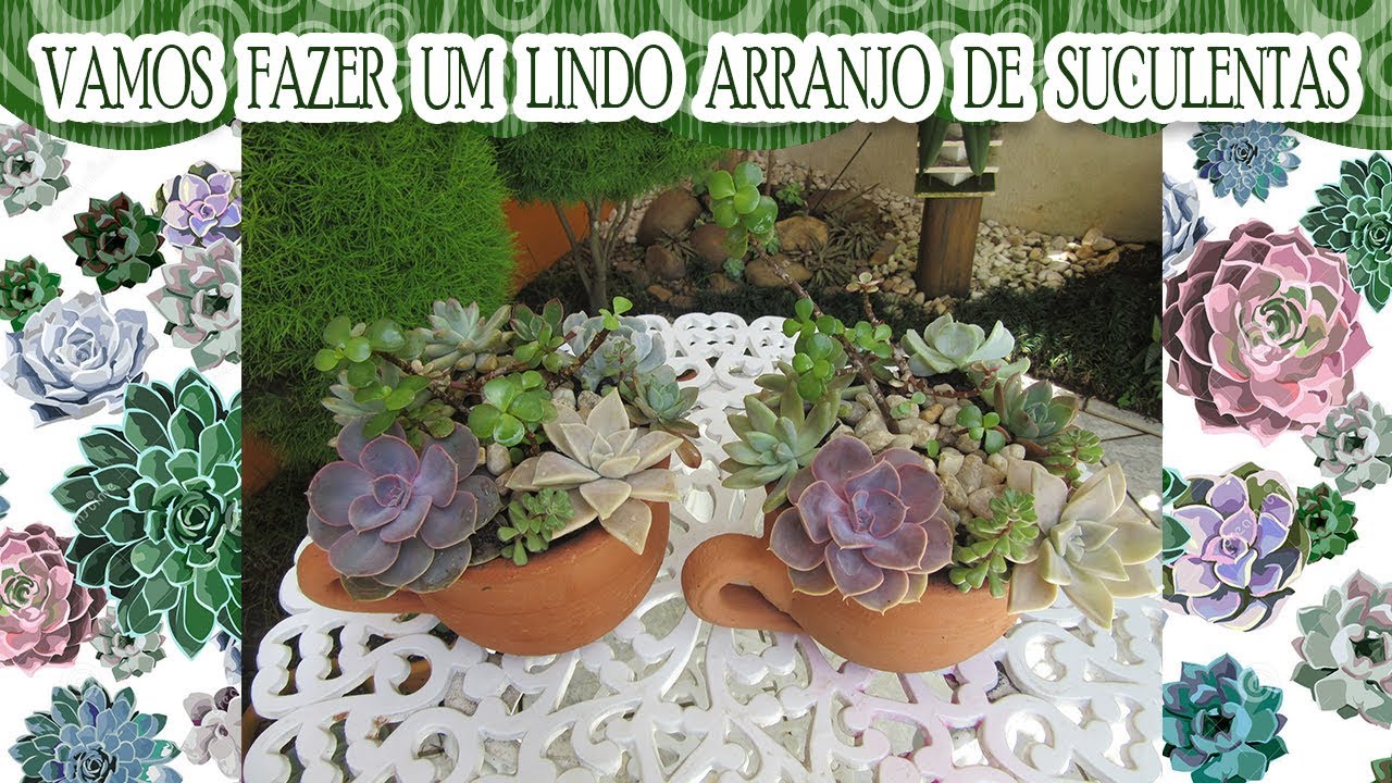 Arranjo de suculentas para minhas vovós!
