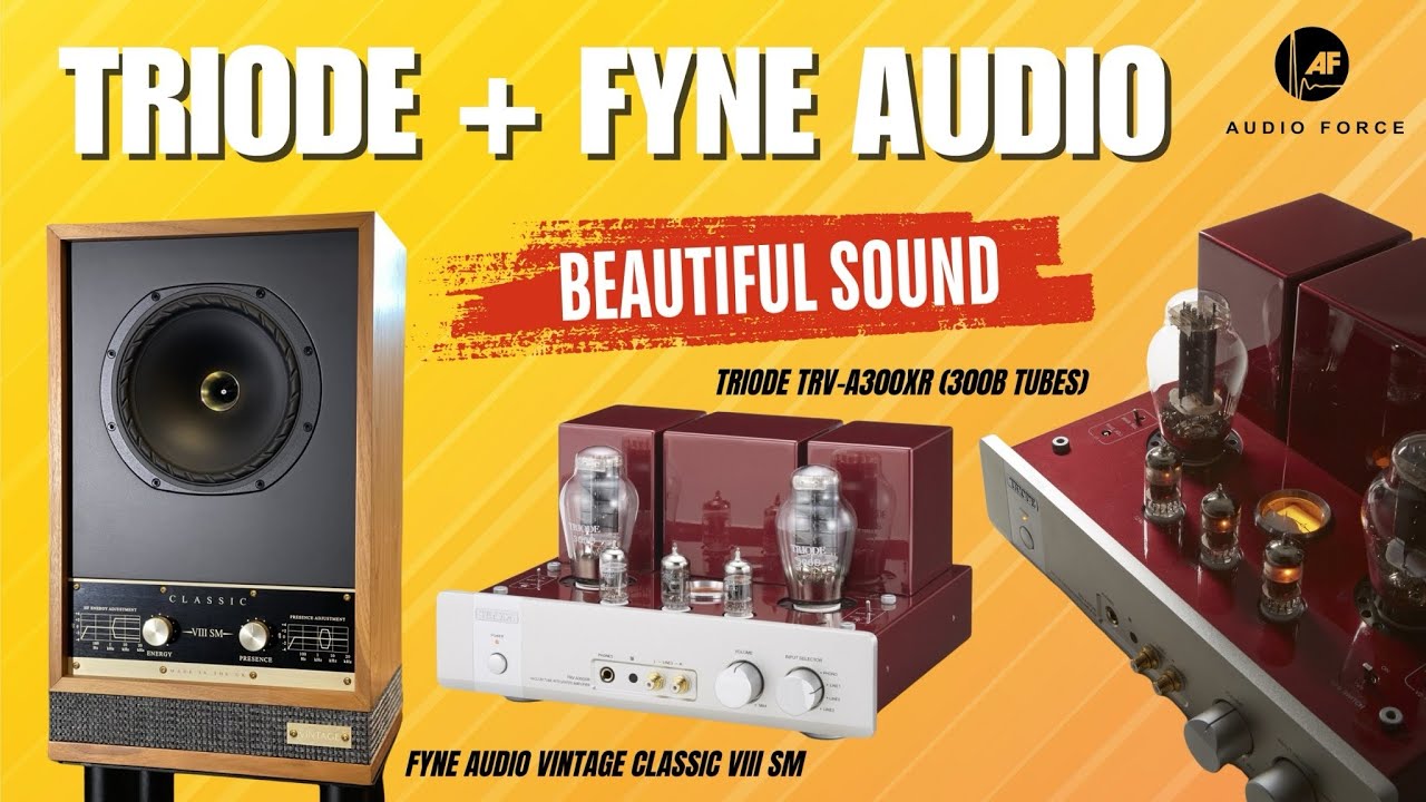 Sound Test: Triode TRV-A300XR (300B Tubes) & Fyne Audio Vintage Classic VIII SM | Beautiful Sound