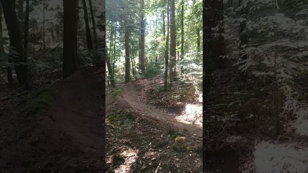 clip vtt  Gros saut #vtt #dh #gros-saut #sauts #2meter
