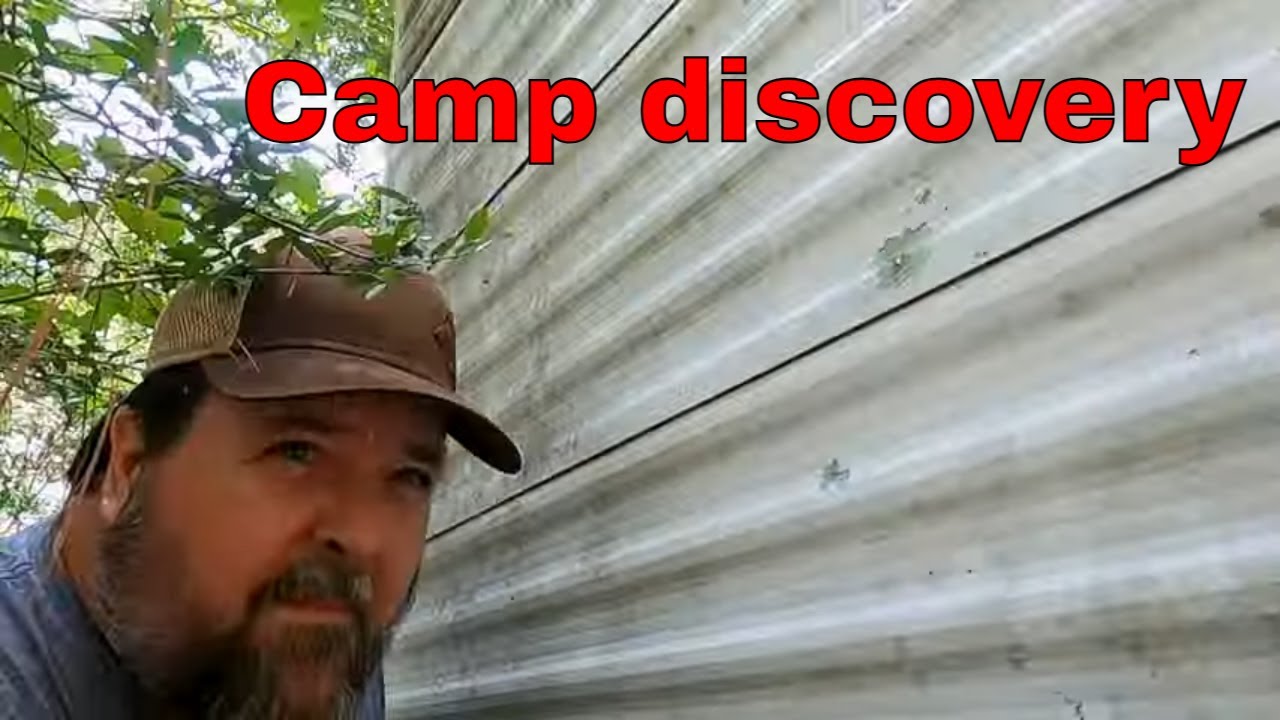 I Cleaned Bees Out of a Hunting Camp Trailer