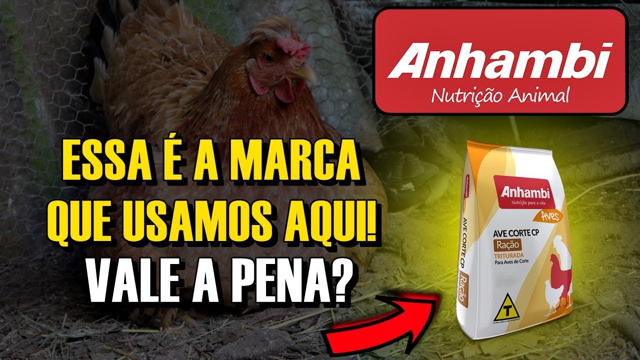 QUAL MARCA DE RAÇÃO EU INDICO PARA GALINHAS E PINTINHOS?
