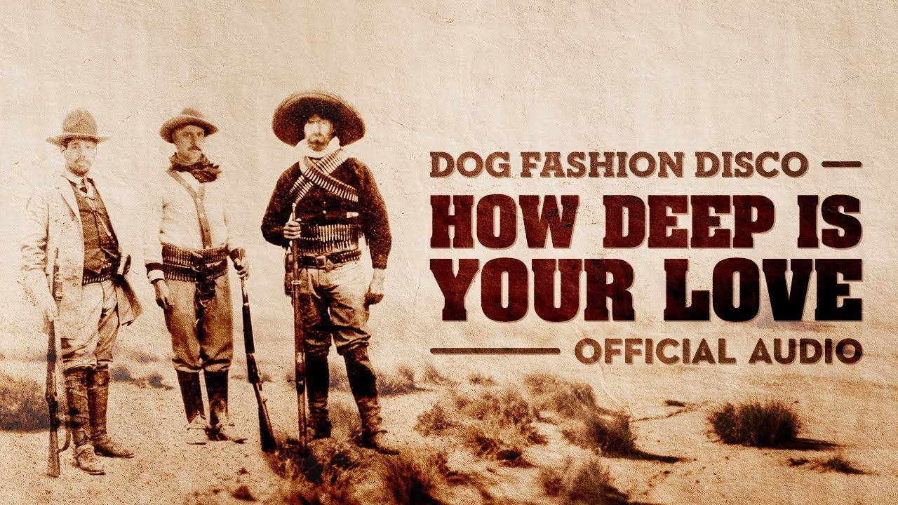 Dog Fashion Disco — 