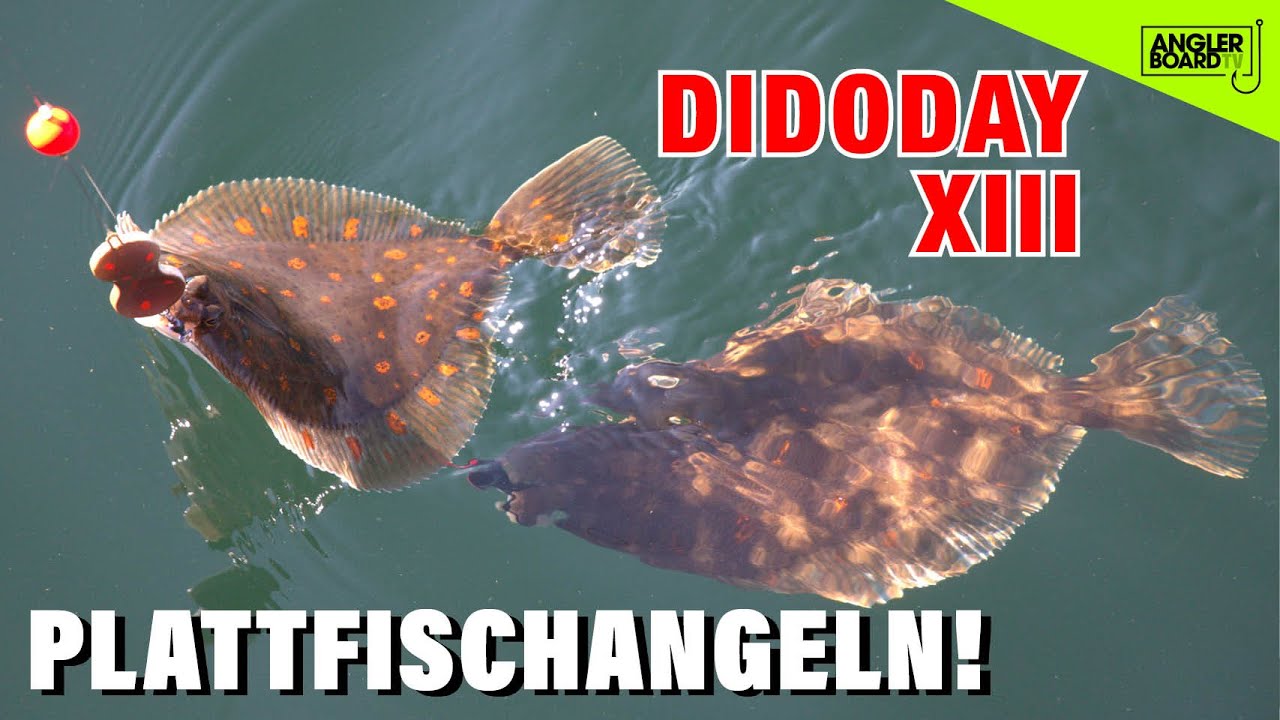 DiDoDay XIII | Angeln auf Plattfisch | Angelkutter Ostsee | Schollenangeln | Angeln vor Fehmarn
