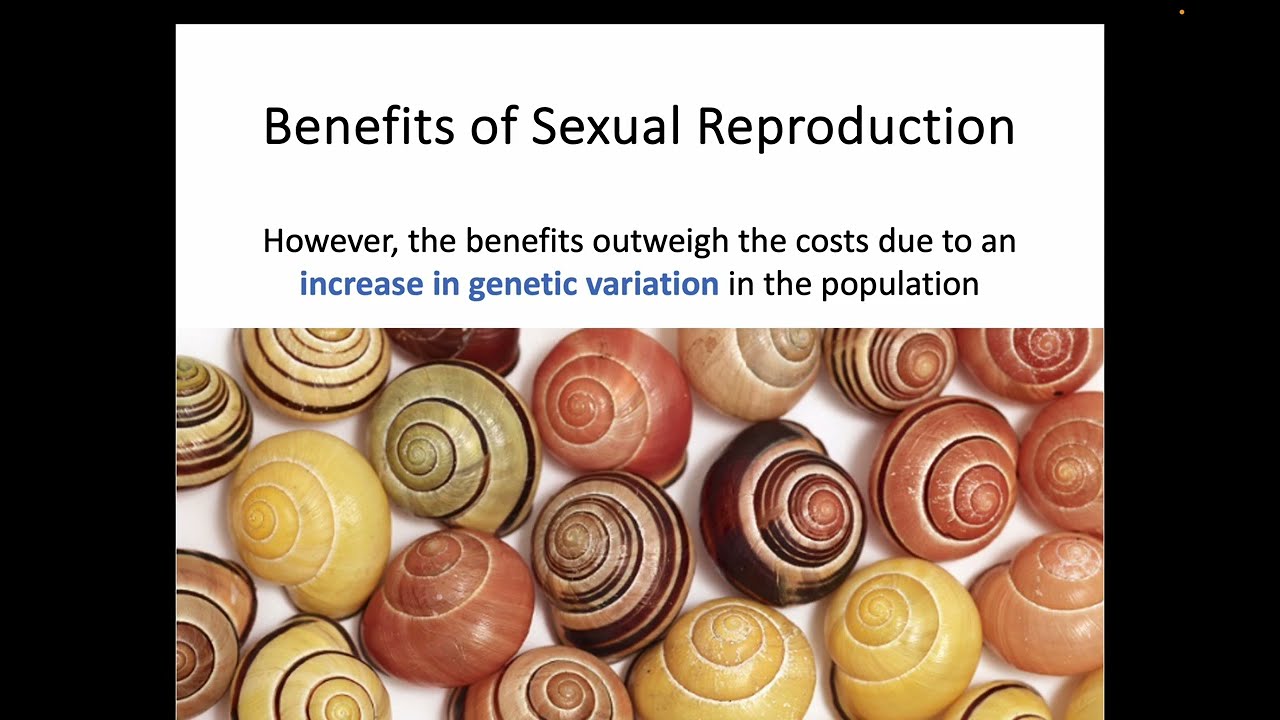 AH Biology 2.3 - Variation and Sexual Reproduction
