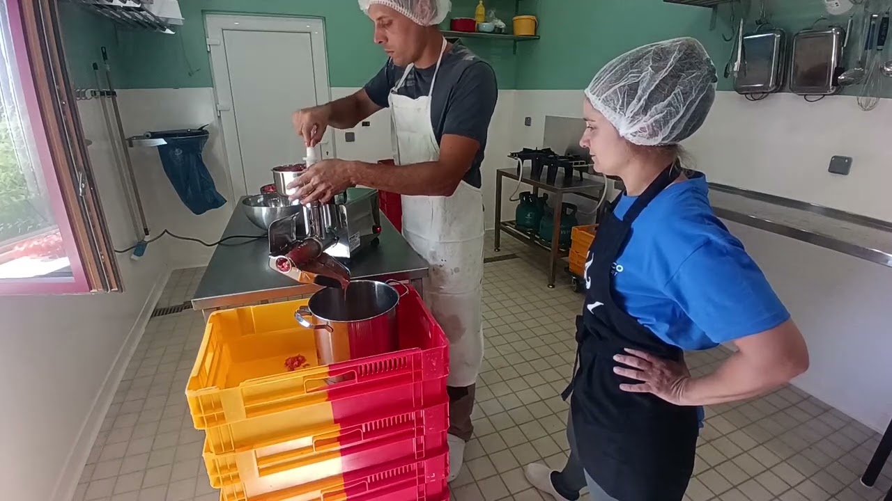 TEST : VEVOR Presse Tomates Électrique