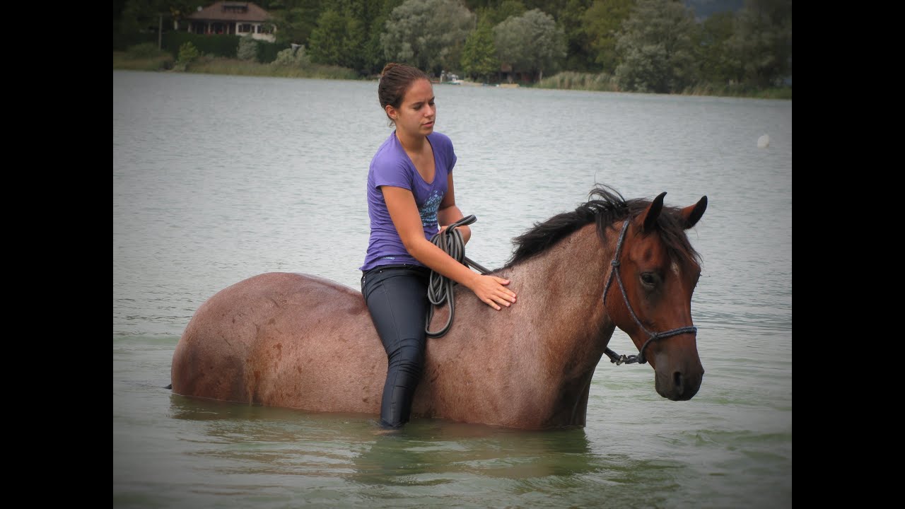baignade 19.09.15