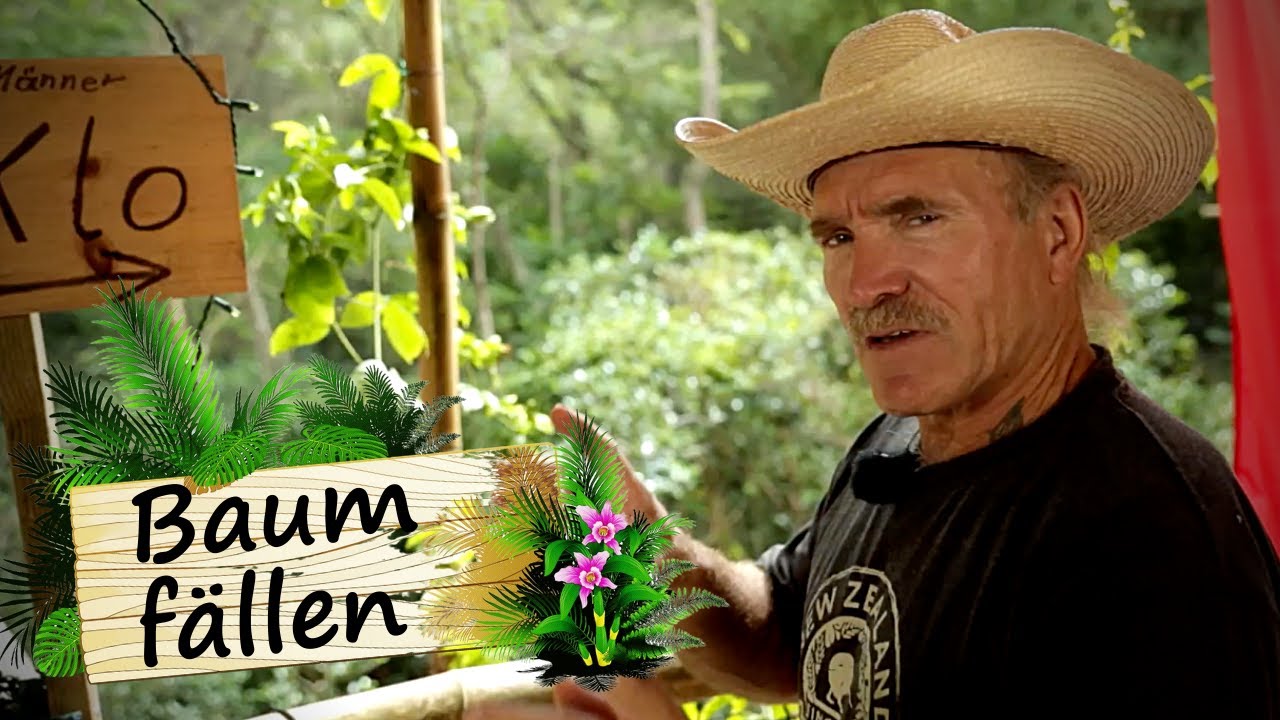 Baum fällen mit Konny 🌴ACHTUNG nicht nachmachen ⚠️ | Reimanns LIFE