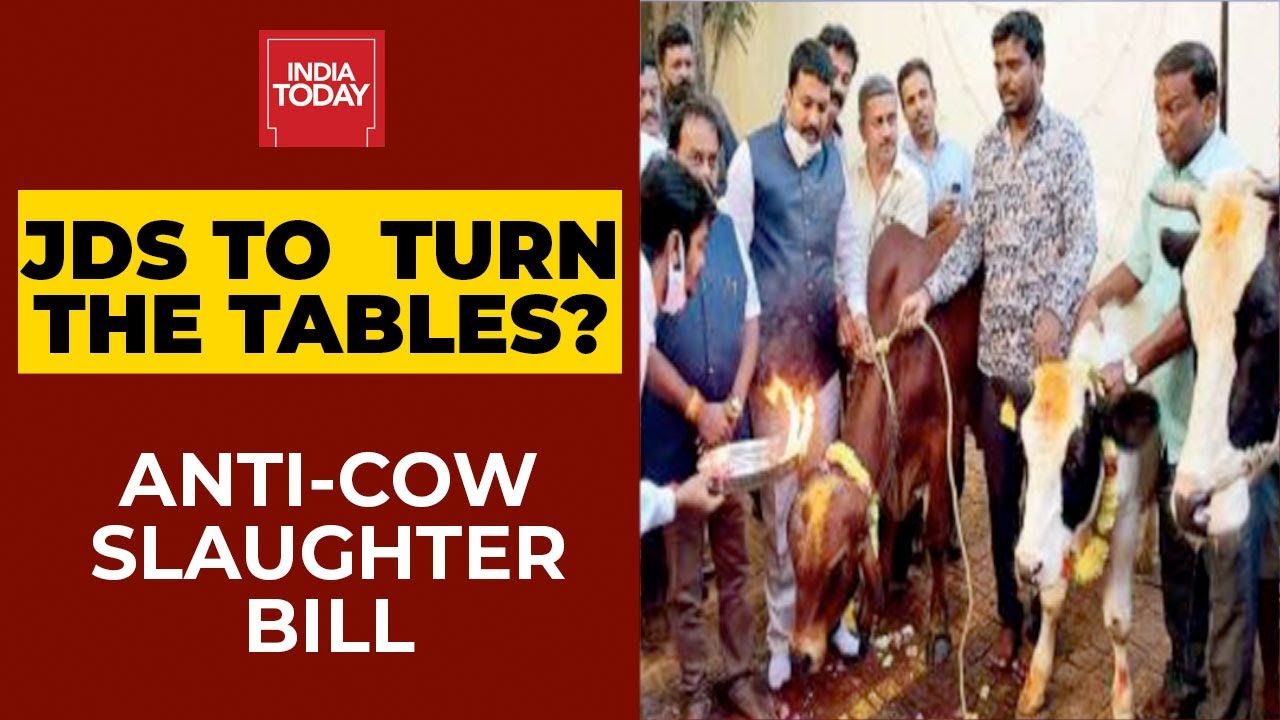 Anti-Cow Slaughter Bill | JDS To Be The Decision Maker In The Karnataka Legislative Council