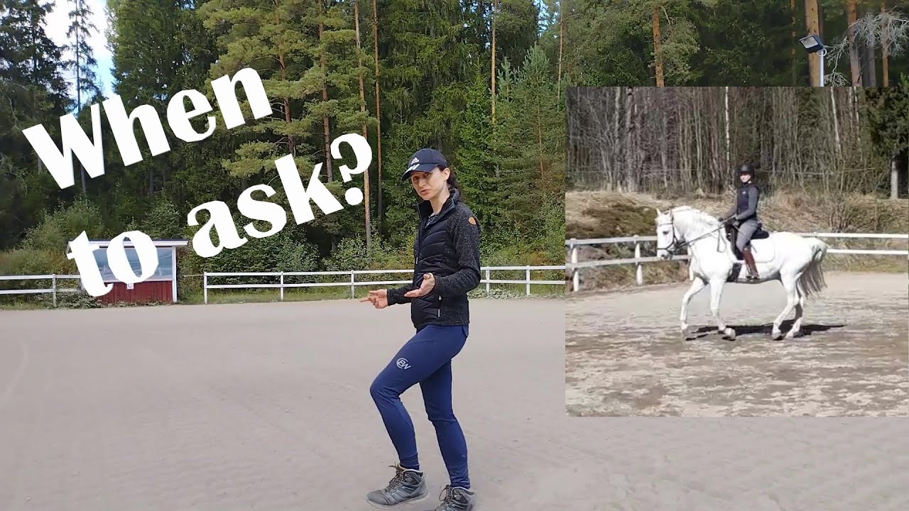 Canter transition! Timing your canter aids for a smooth departure (horse riding, slow motion)