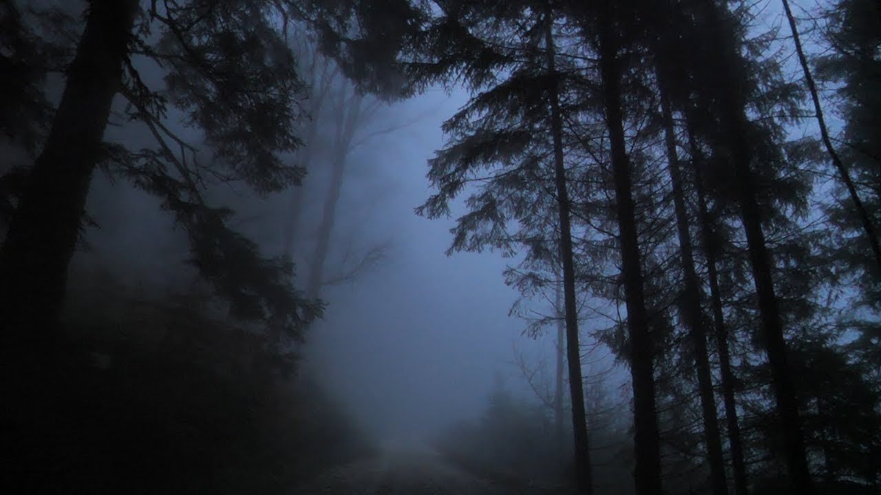 4K Virtual Calm Walk Through the Dark and Foggy Park | Natural Sounds Only
