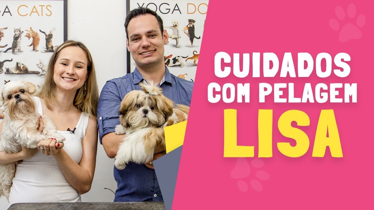 Cuidados com Pelos de Shih Tzu (Ju Almeida Pet e Renato Leiva)