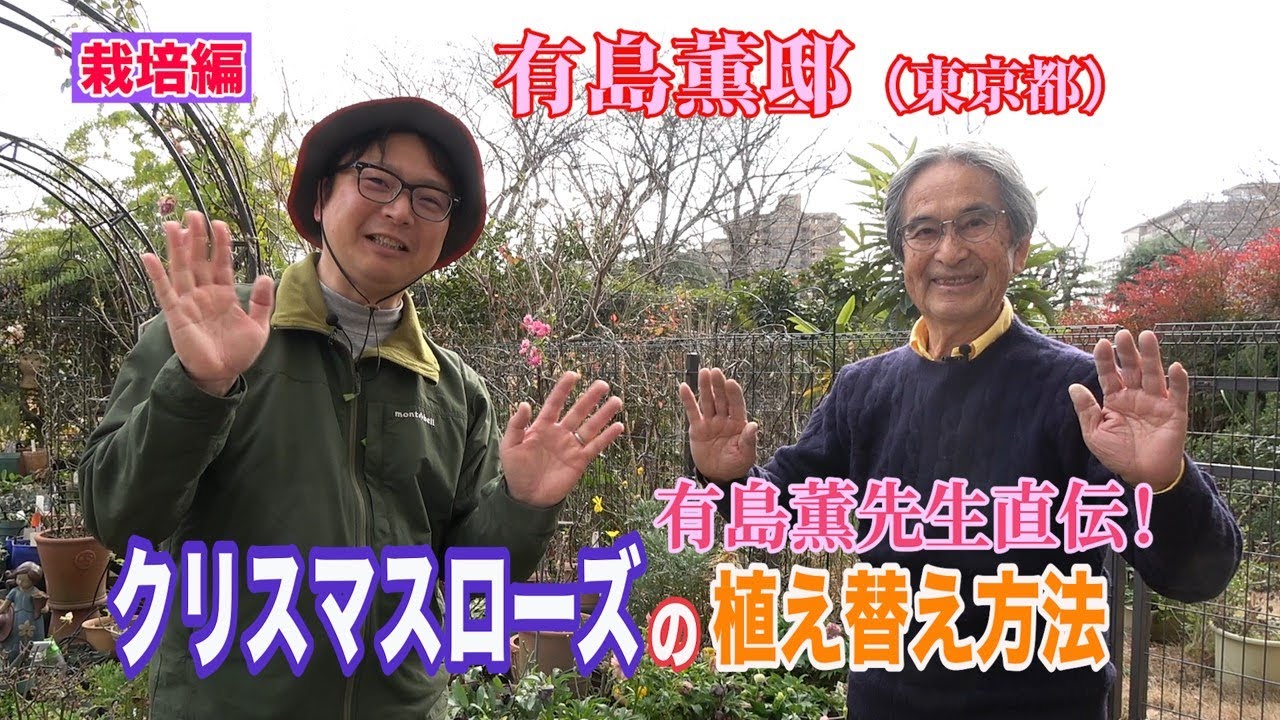 有島先生直伝！クリスマスローズの植え替え方法～ガーデンドクターTV58 RM